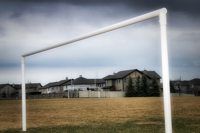 得期待的可 得期待的可