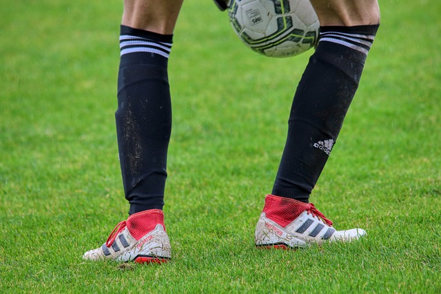 对于一些正 对于一些正