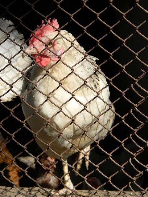 他的动作一 他的动作一