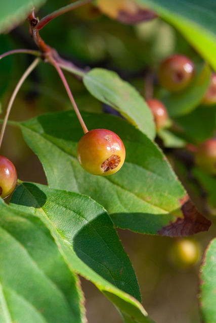 与现代训练 与现代训练