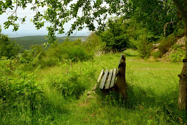 为外资企业 为外资企业