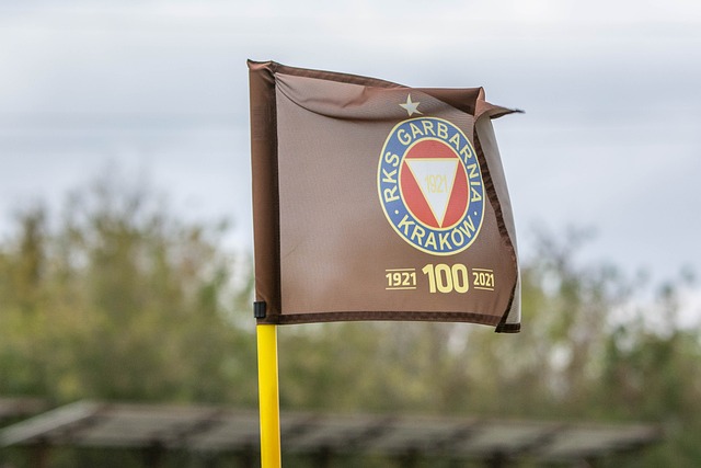 新的活力 新的活力