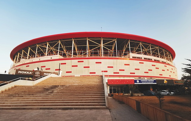 萊萬多夫斯 萊萬多夫斯