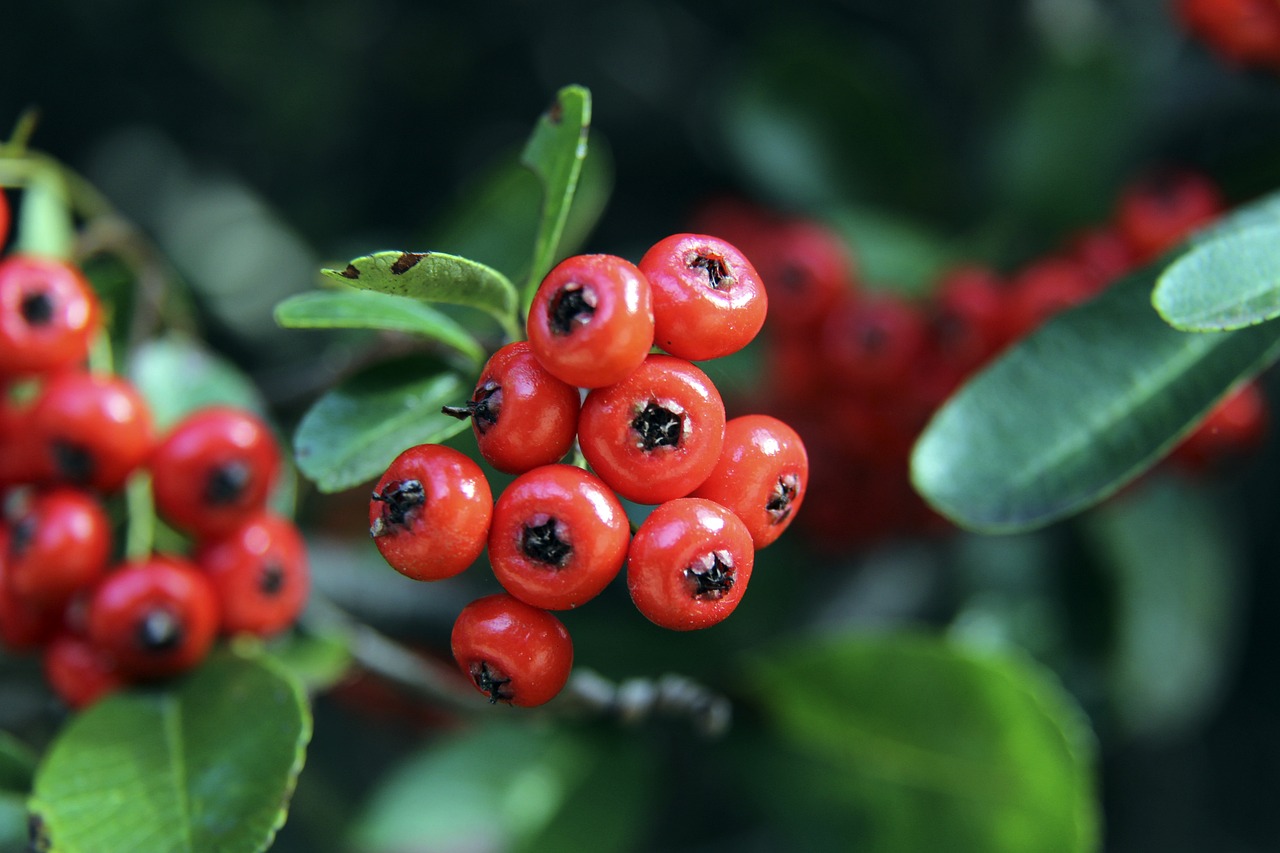 焦的對象 焦的對象