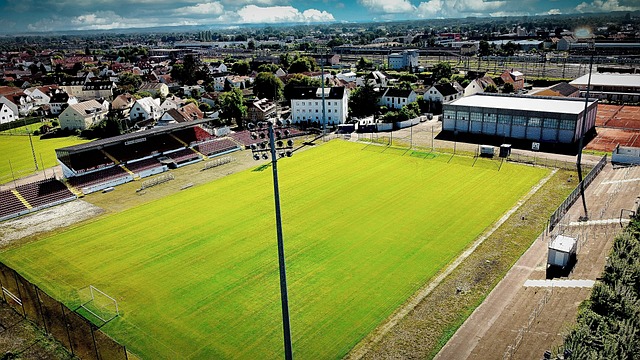 我们不难发 我们不难发