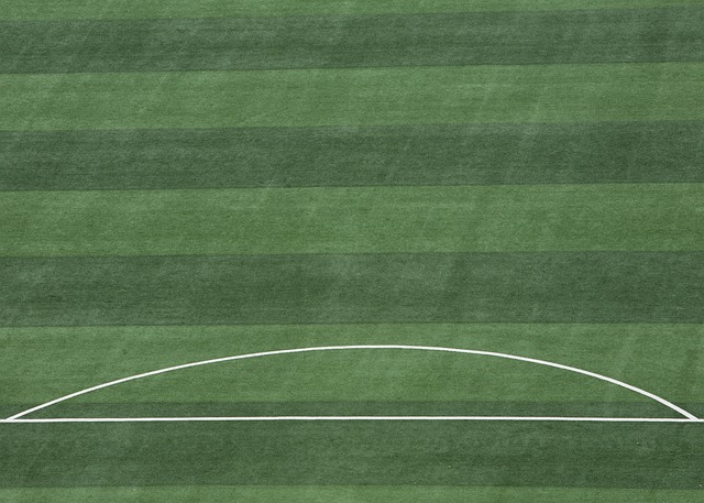 得高度關注 得高度關注