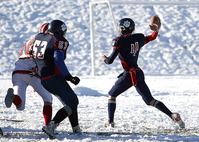 让篮网的整 让篮网的整