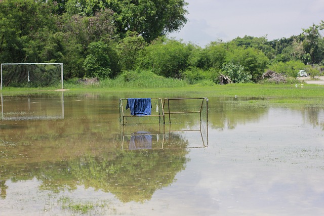 在那一年A 在那一年A