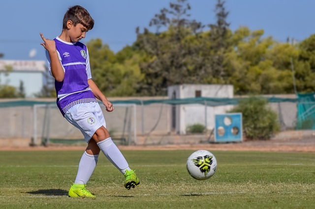 增长的趋势 增长的趋势