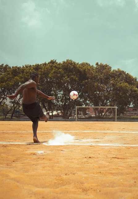 这一事实 这一事实