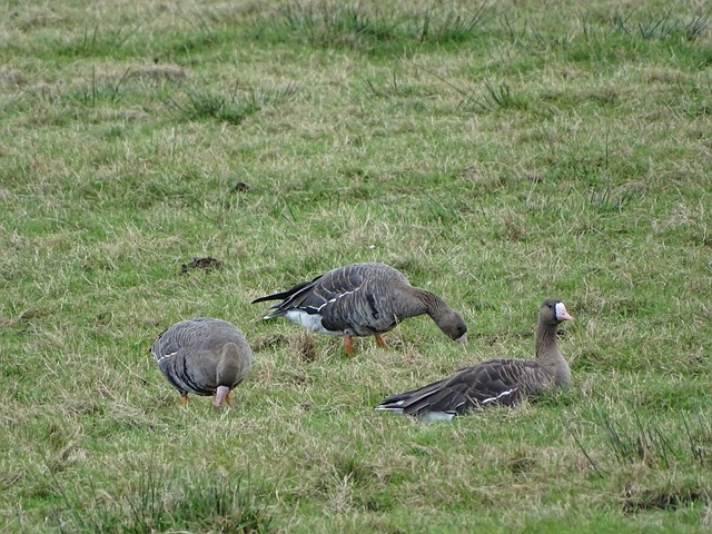济背景下 济背景下