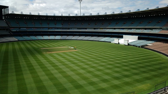 不然留下？由于无人问津，所以本菲卡准备临近关窗再报价费利克斯.