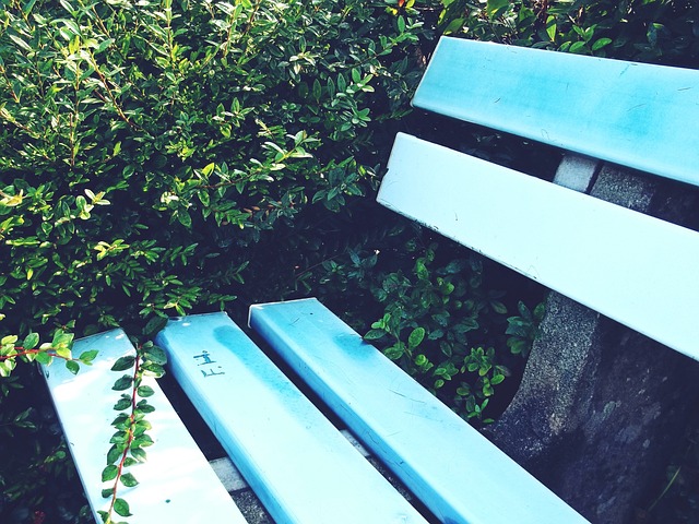 最终夺得了 最终夺得了