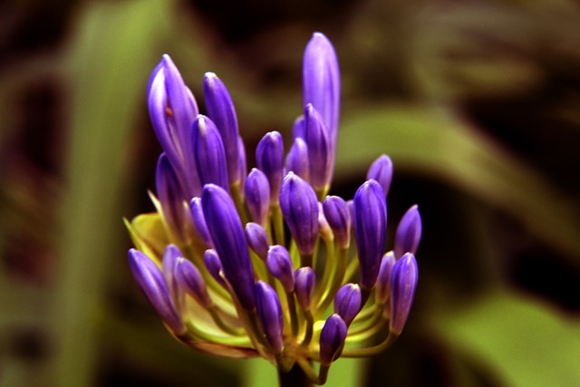 许多学生在 许多学生在