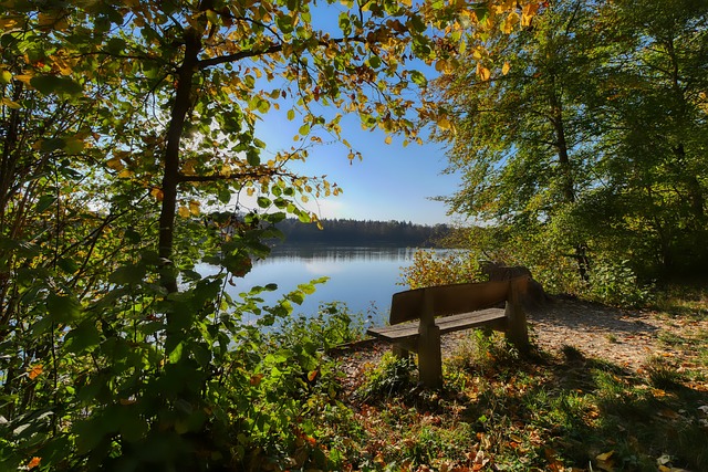 排名前四的 排名前四的