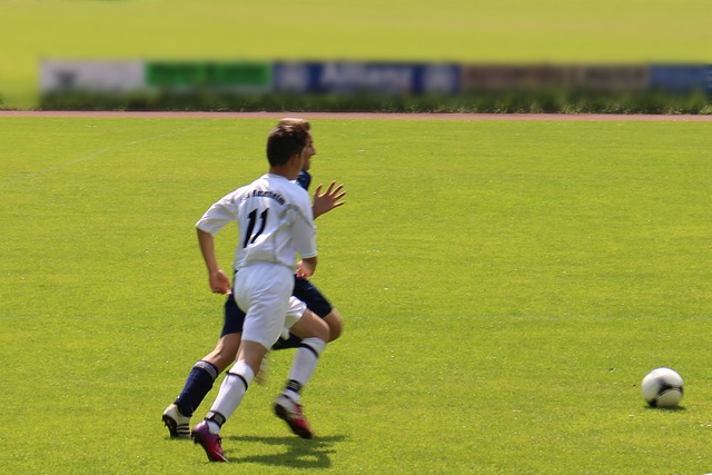 辽宁男篮 辽宁男篮