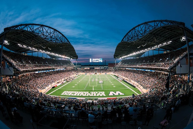 都具有丰富 都具有丰富